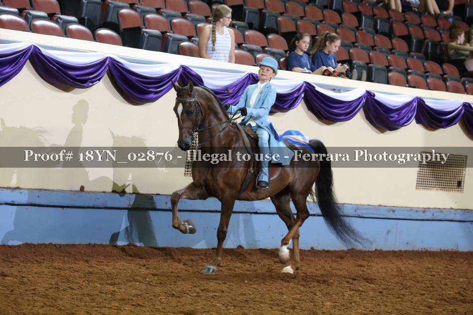 Proof 18YN_02876