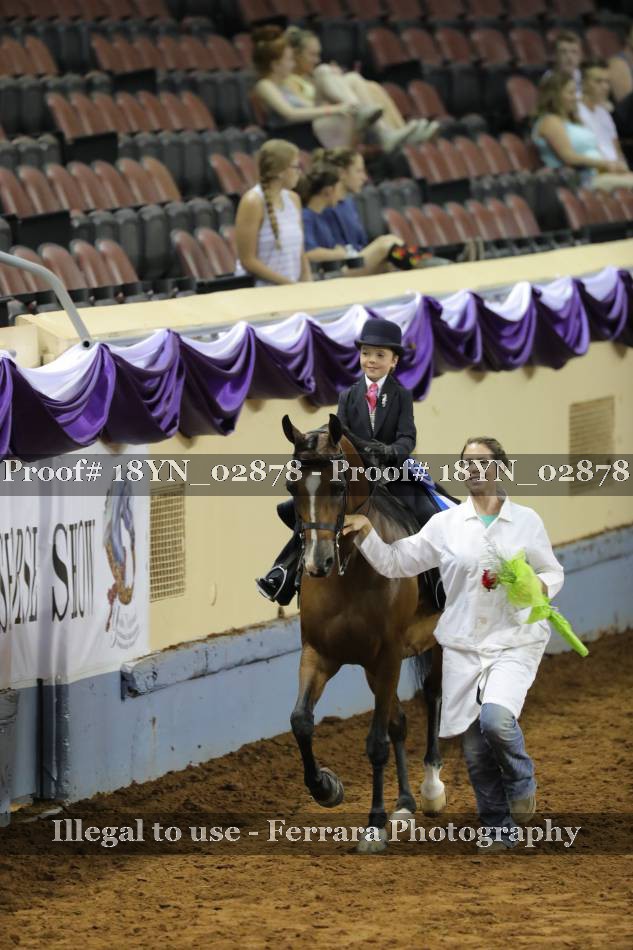 Proof 18YN_02878