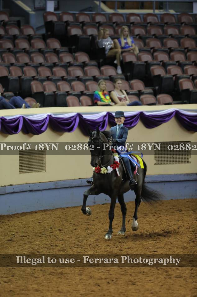 Proof 18YN_02882
