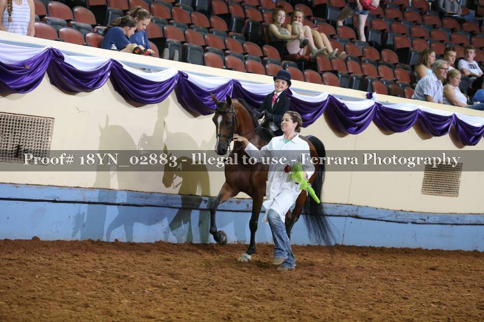 Proof 18YN_02883