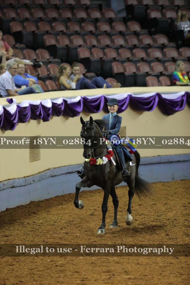 Proof 18YN_02884