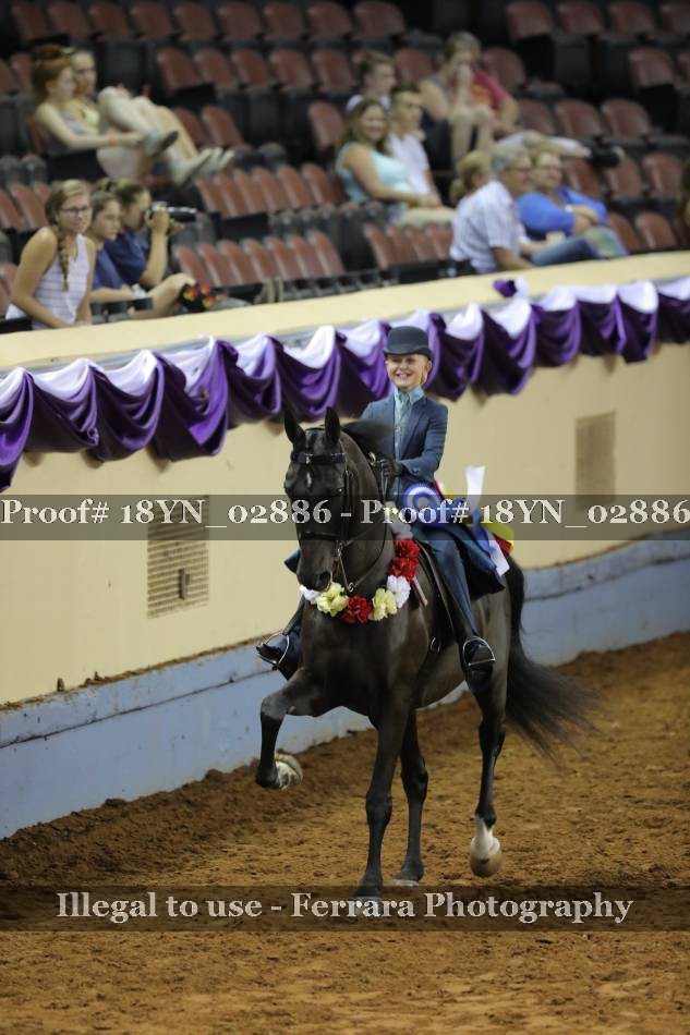 Proof 18YN_02886