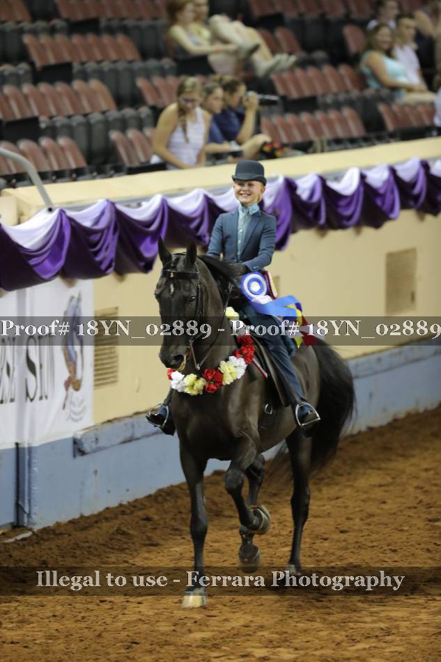 Proof 18YN_02889