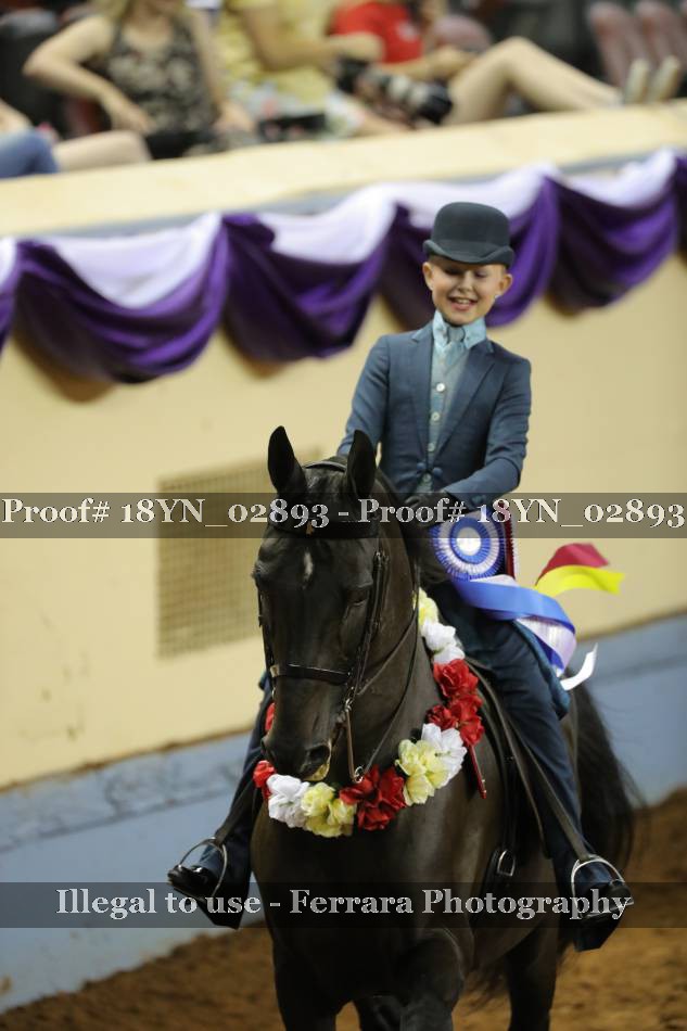 Proof 18YN_02893