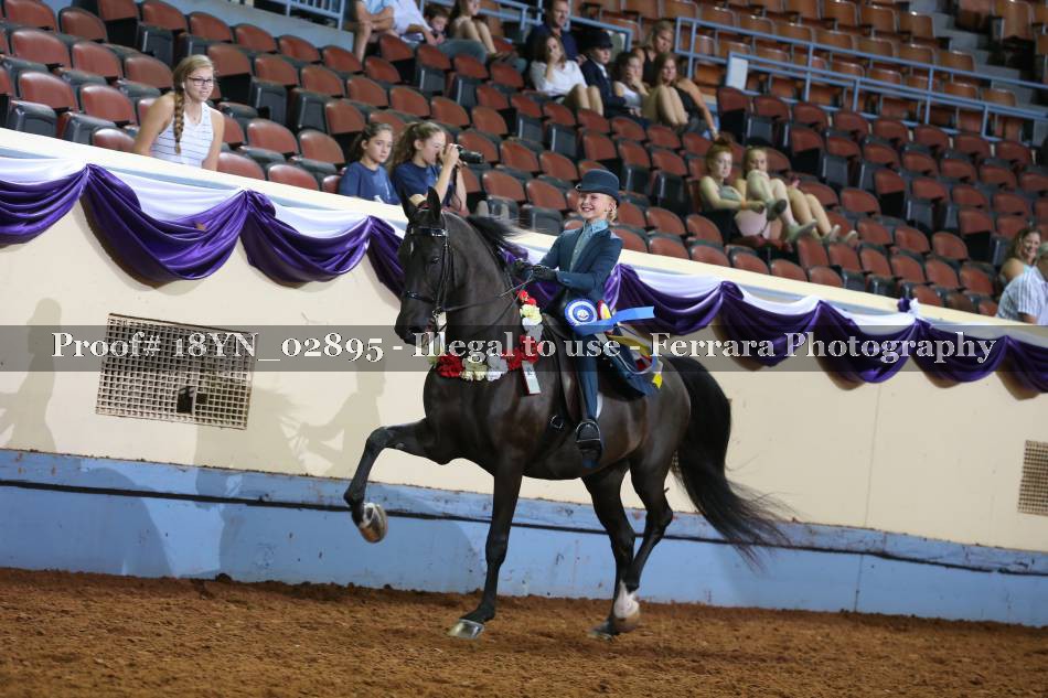 Proof 18YN_02895