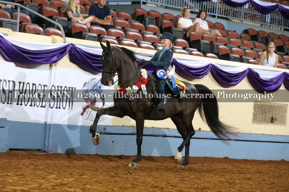 Proof 18YN_02896
