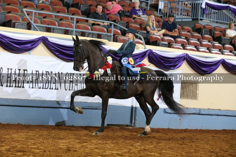 Proof 18YN_02897