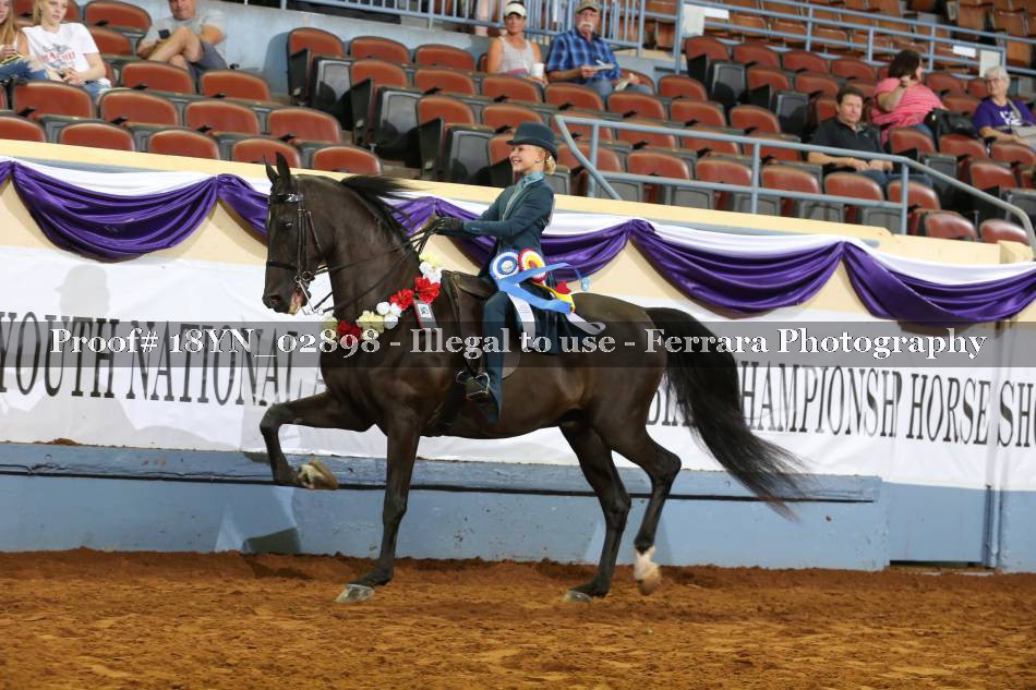 Proof 18YN_02898