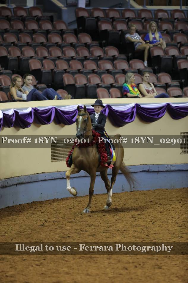 Proof 18YN_02901