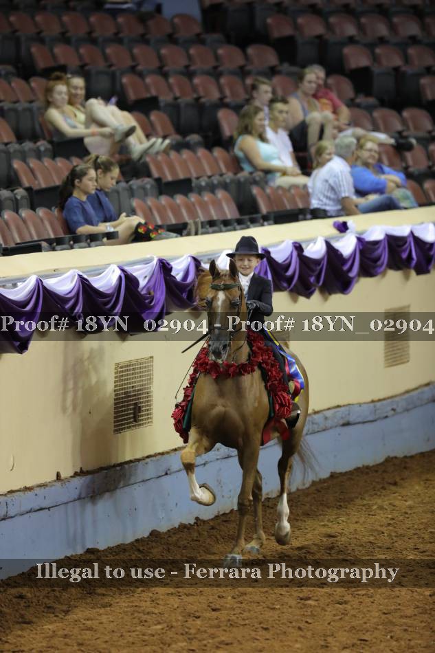 Proof 18YN_02904