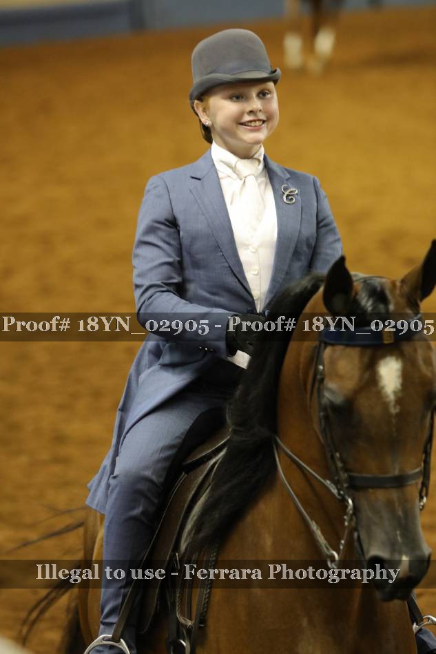Proof 18YN_02905