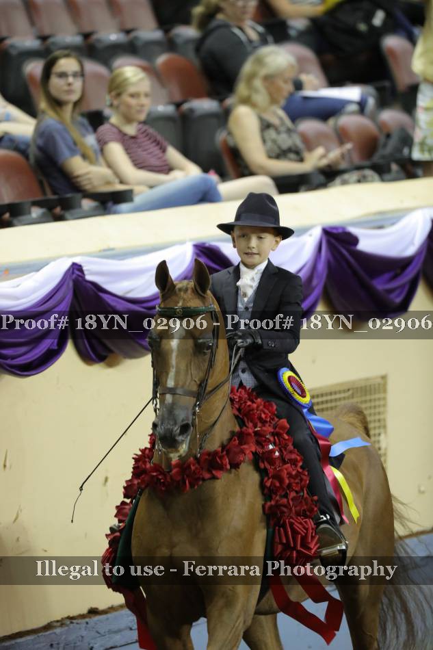 Proof 18YN_02906