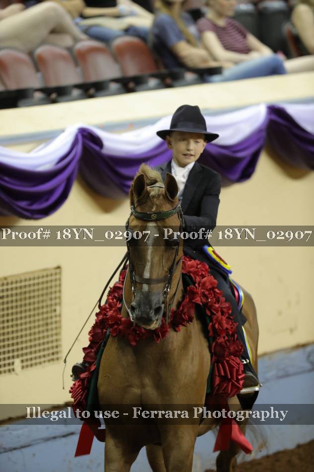 Proof 18YN_02907