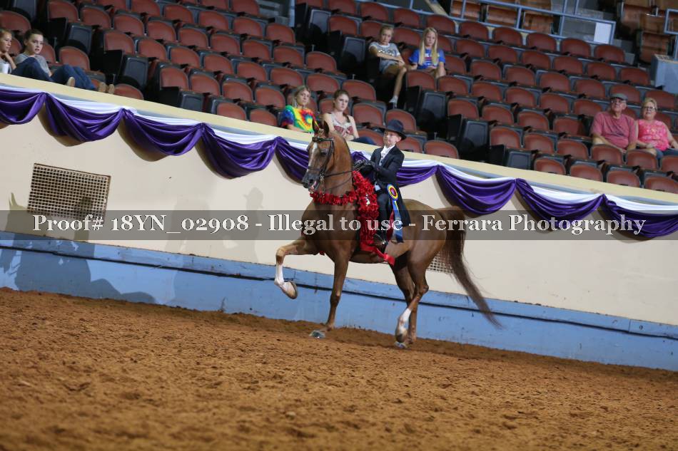 Proof 18YN_02908