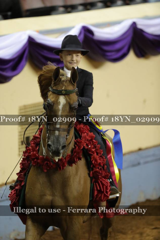 Proof 18YN_02909