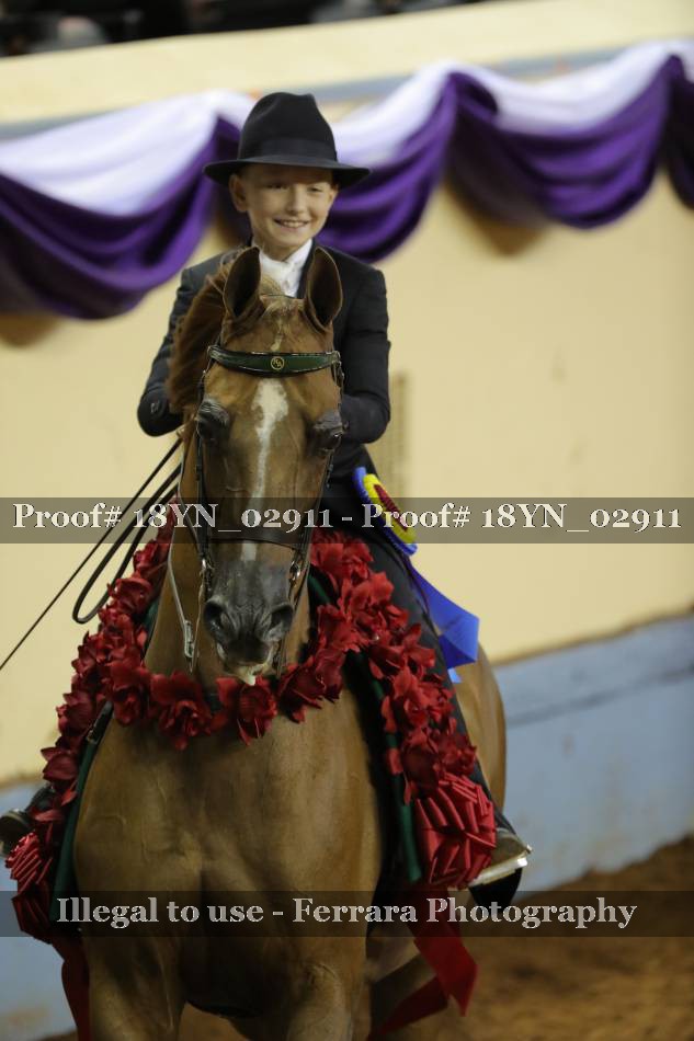 Proof 18YN_02911
