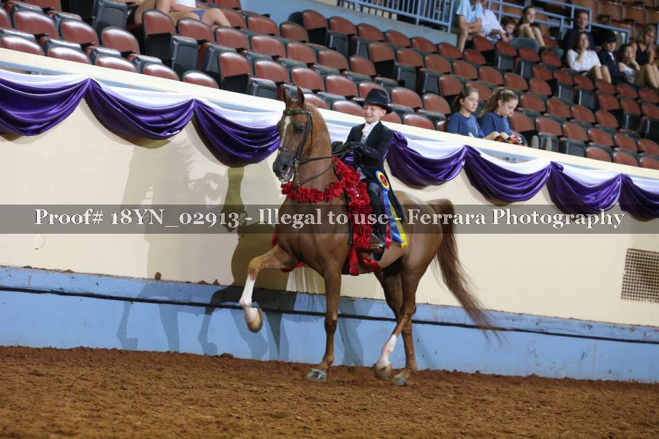 Proof 18YN_02913
