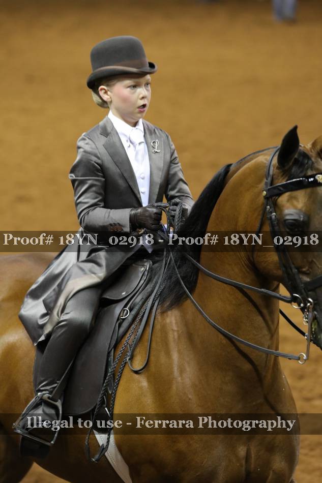 Proof 18YN_02918