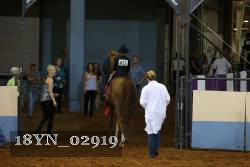 18YN_02919 proof