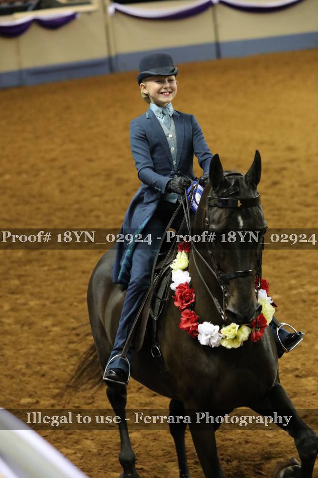 Proof 18YN_02924