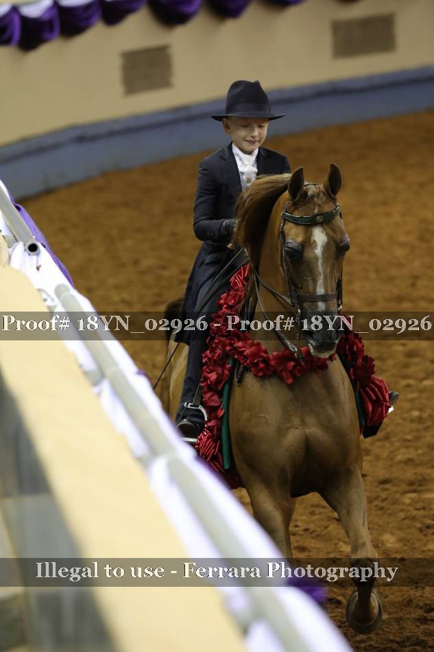 Proof 18YN_02926