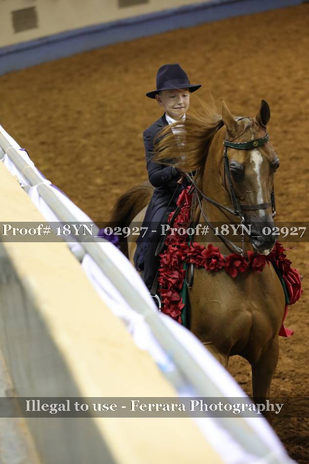 Proof 18YN_02927
