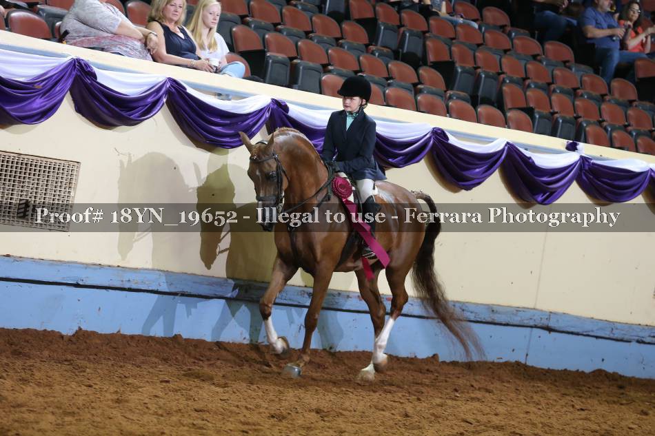 Proof 18YN_19652