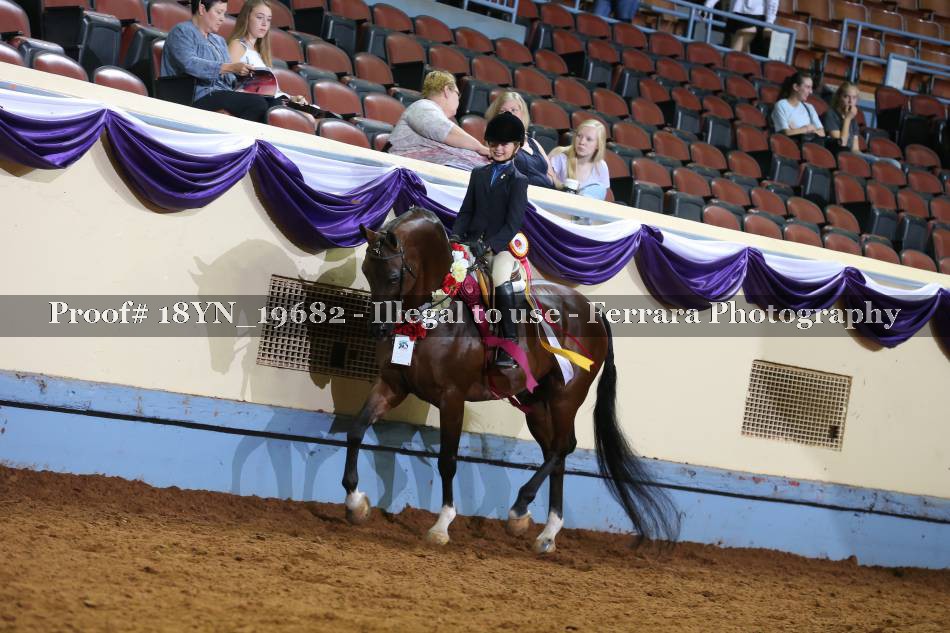 Proof 18YN_19682