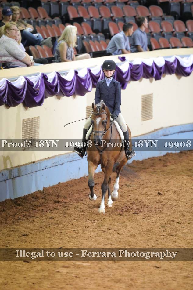 Proof 18YN_19908