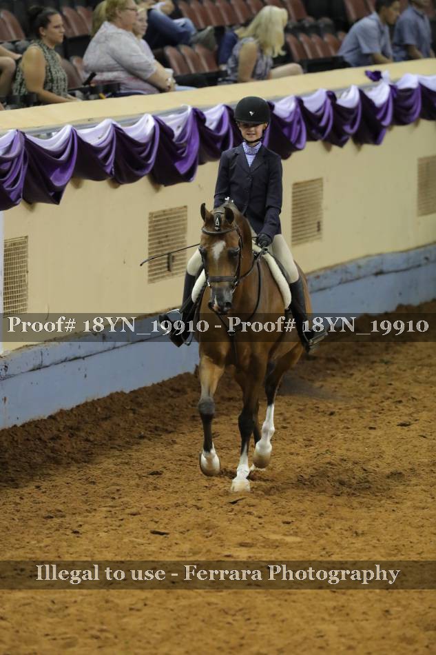 Proof 18YN_19910