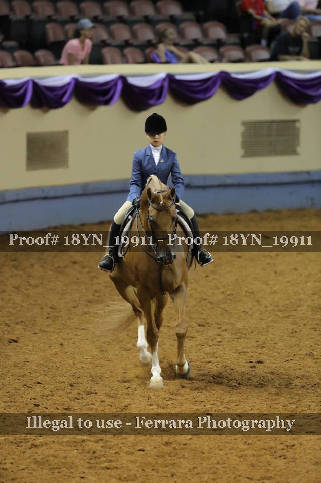 Proof 18YN_19911