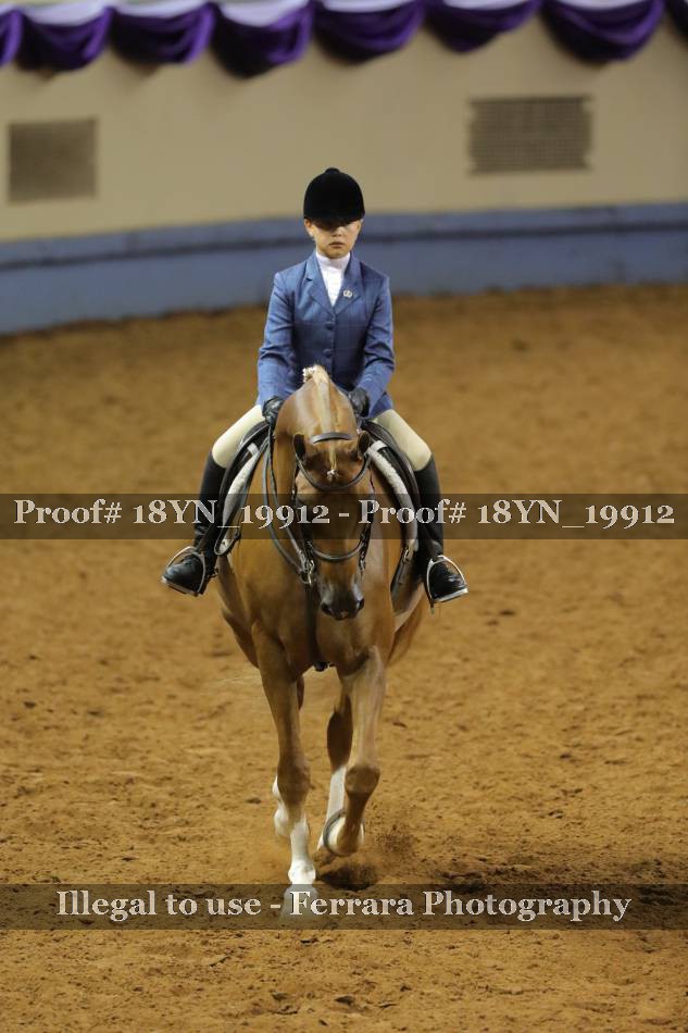 Proof 18YN_19912