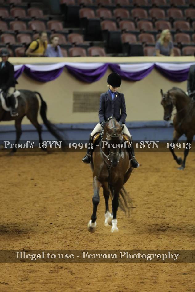 Proof 18YN_19913