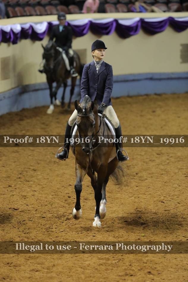 Proof 18YN_19916
