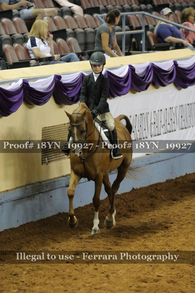 Proof 18YN_19927