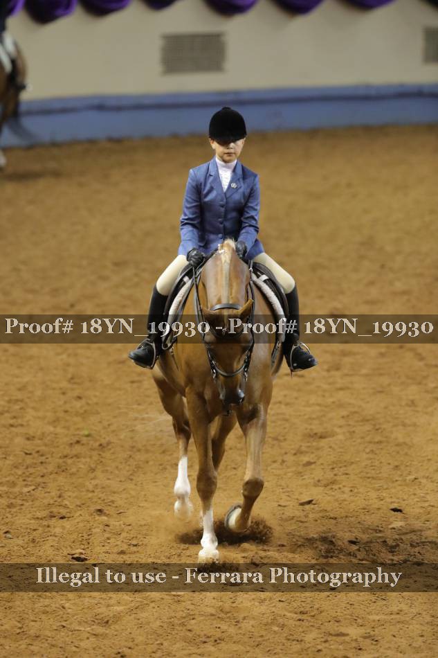 Proof 18YN_19930