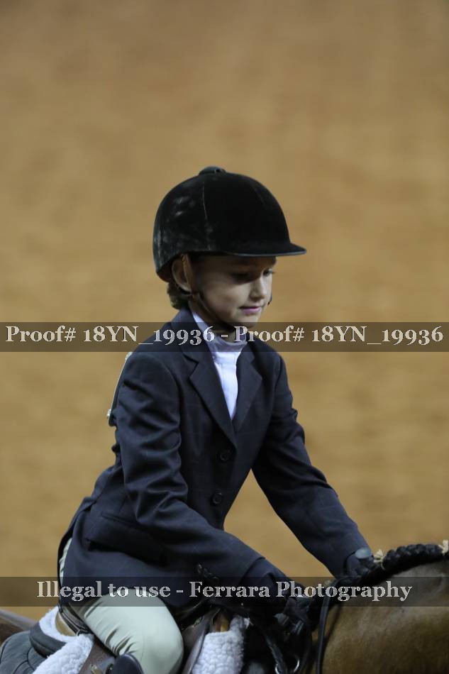 Proof 18YN_19936