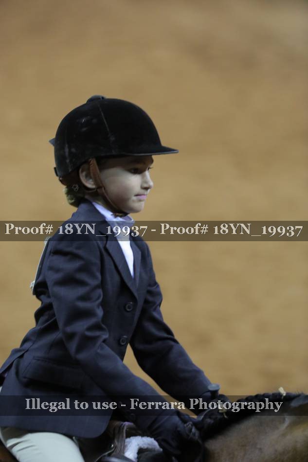 Proof 18YN_19937