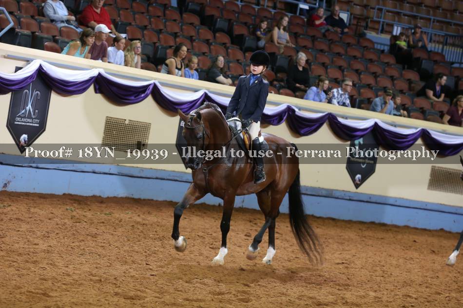 Proof 18YN_19939