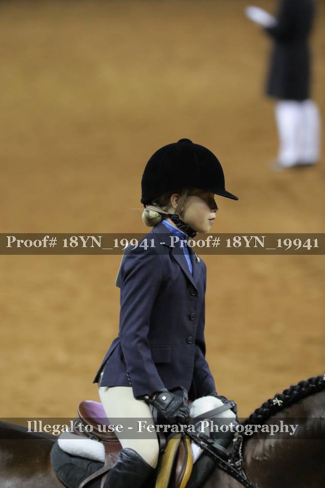 Proof 18YN_19941