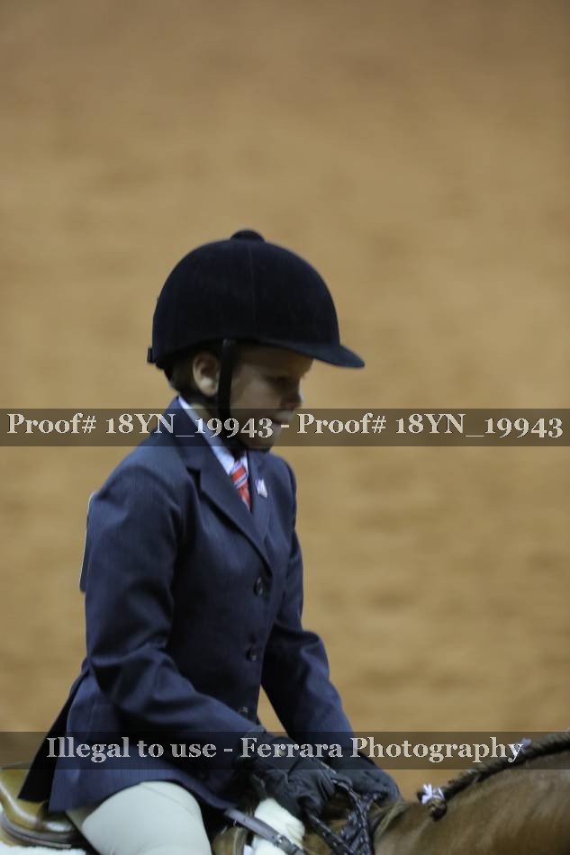 Proof 18YN_19943