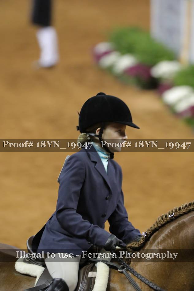 Proof 18YN_19947