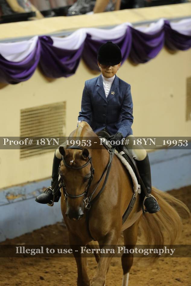 Proof 18YN_19953