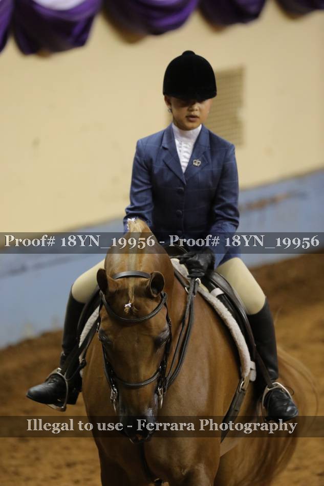 Proof 18YN_19956