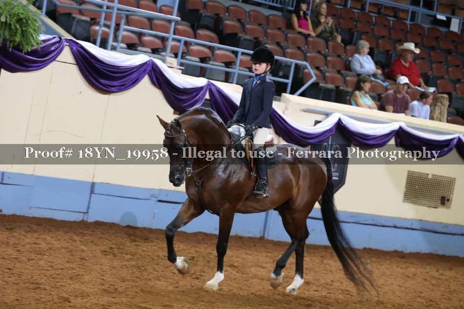 Proof 18YN_19958