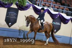 18YN_19960 proof
