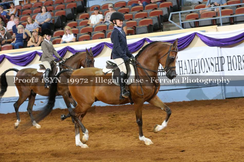 Proof 18YN_19972