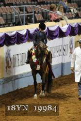 18YN_19984 proof