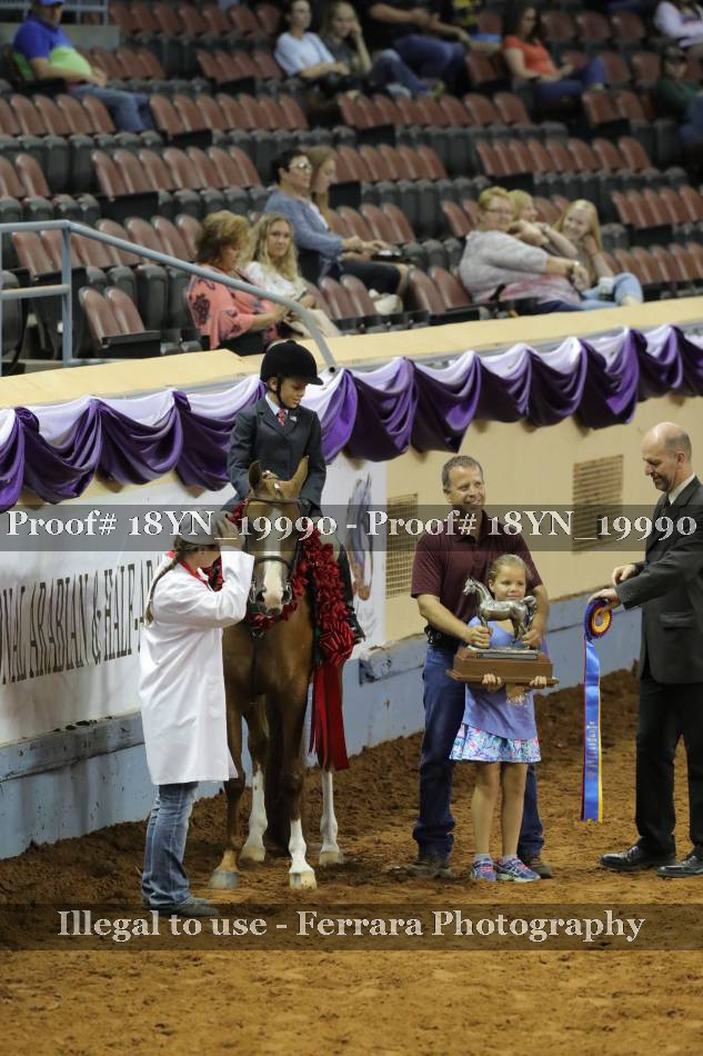 Proof 18YN_19990