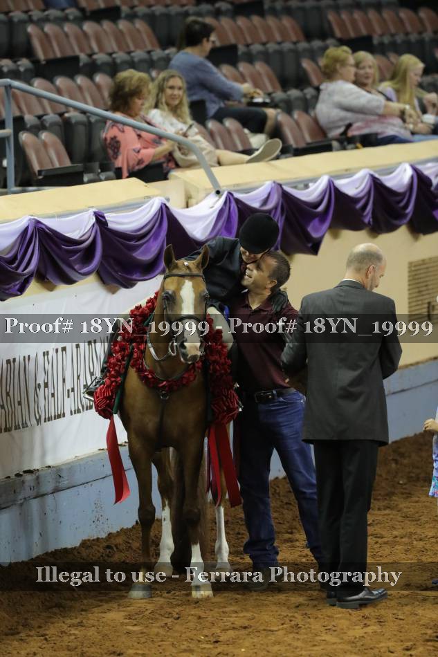 Proof 18YN_19999